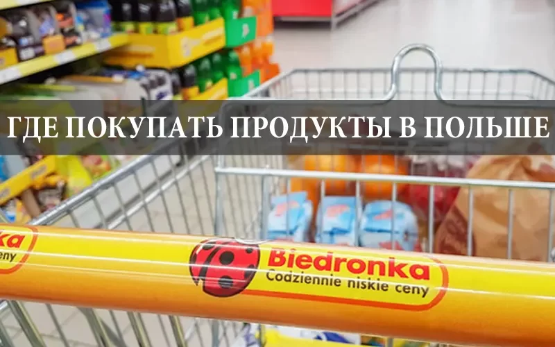 Где покупать продукты в Польше дешево?