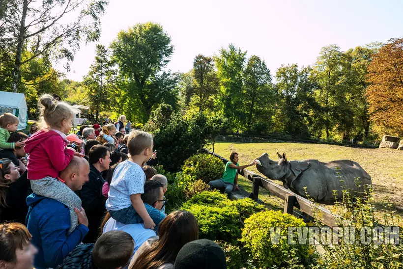 Варшавский зоопарк: лучшее место для семейного отдыха